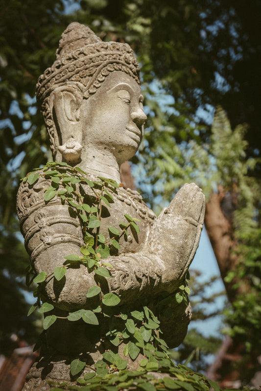 a statue of a buddha sitting in the middle of a forest