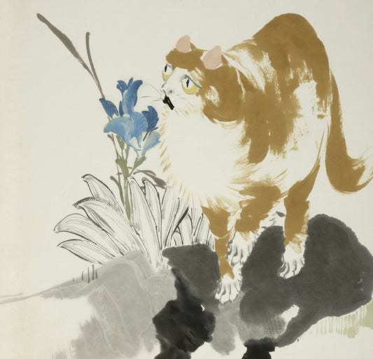 A fluffy cat sniffs a blue flower