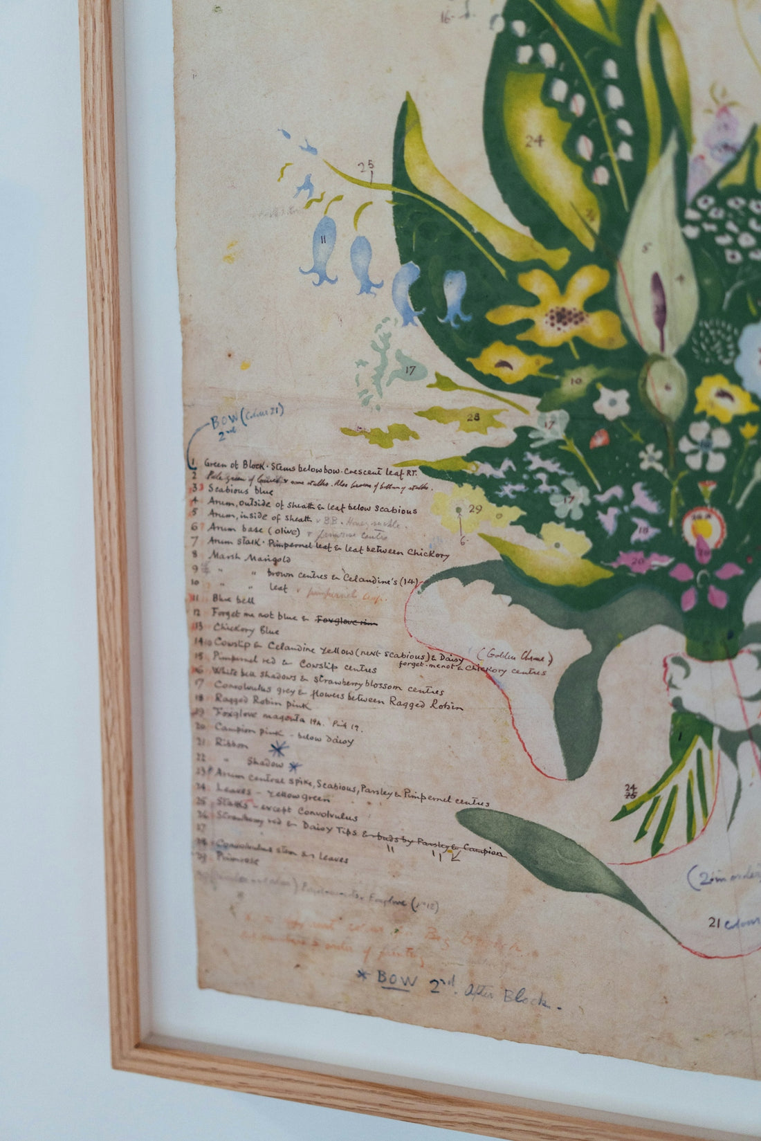 Framed botanical illustration with handwritten notes