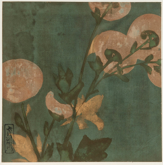 Pale pink flowers and green leaves on teal background