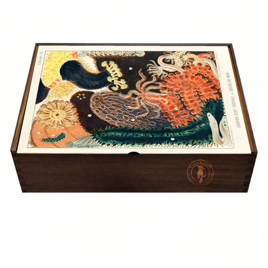 Handcrafted wooden puzzle box with Saville-Kent's Great Barrier Reef art of sea cucumbers
