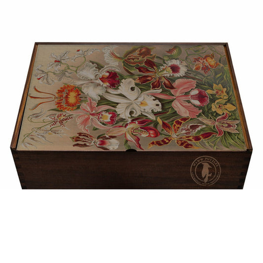 Artisanal wooden puzzle box with Haeckel's Orchideae illustration prominently displayed.
