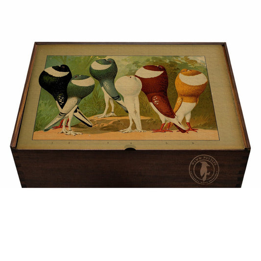 Handcrafted wooden puzzle box featuring Emil Schachtzabel's Pigeon Prachtwerk artwork