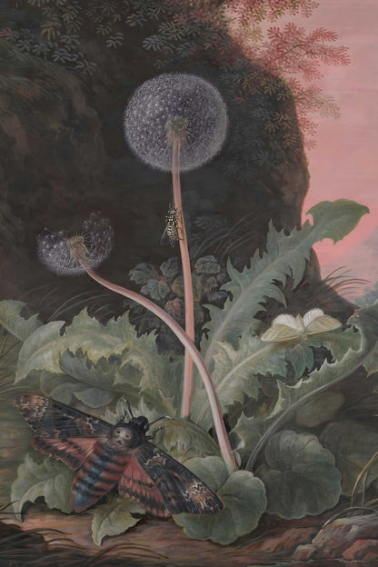 Illustration of a dandelion, a bee and a moth on a plant with a pinkish background