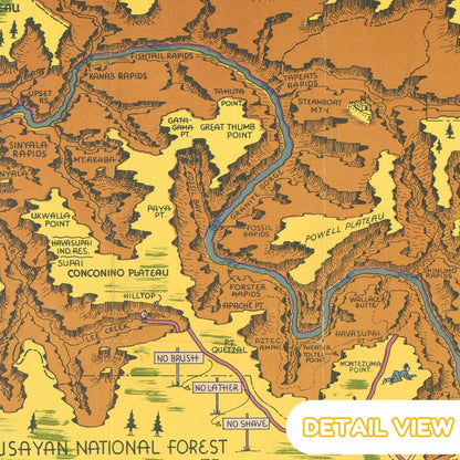 Map of the Navajos National Forest with topographic details and a river. Detail of grand canyon from arizona usa colorful pictorial map with rivers cliffs and hiking trails