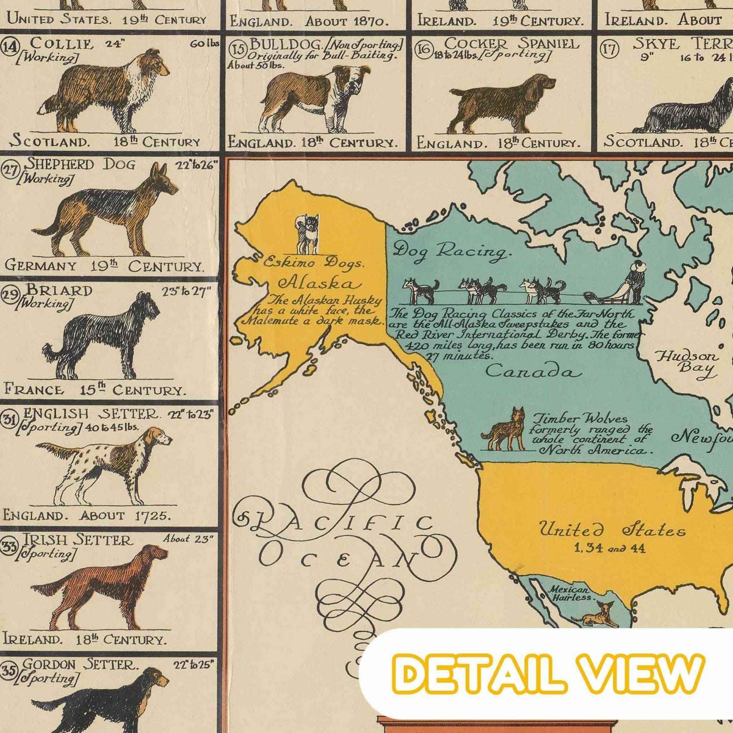 Close-up of the intricately illustrated border featuring different canine breeds and their names.