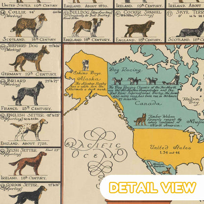 Close-up of the intricately illustrated border featuring different canine breeds and their names.