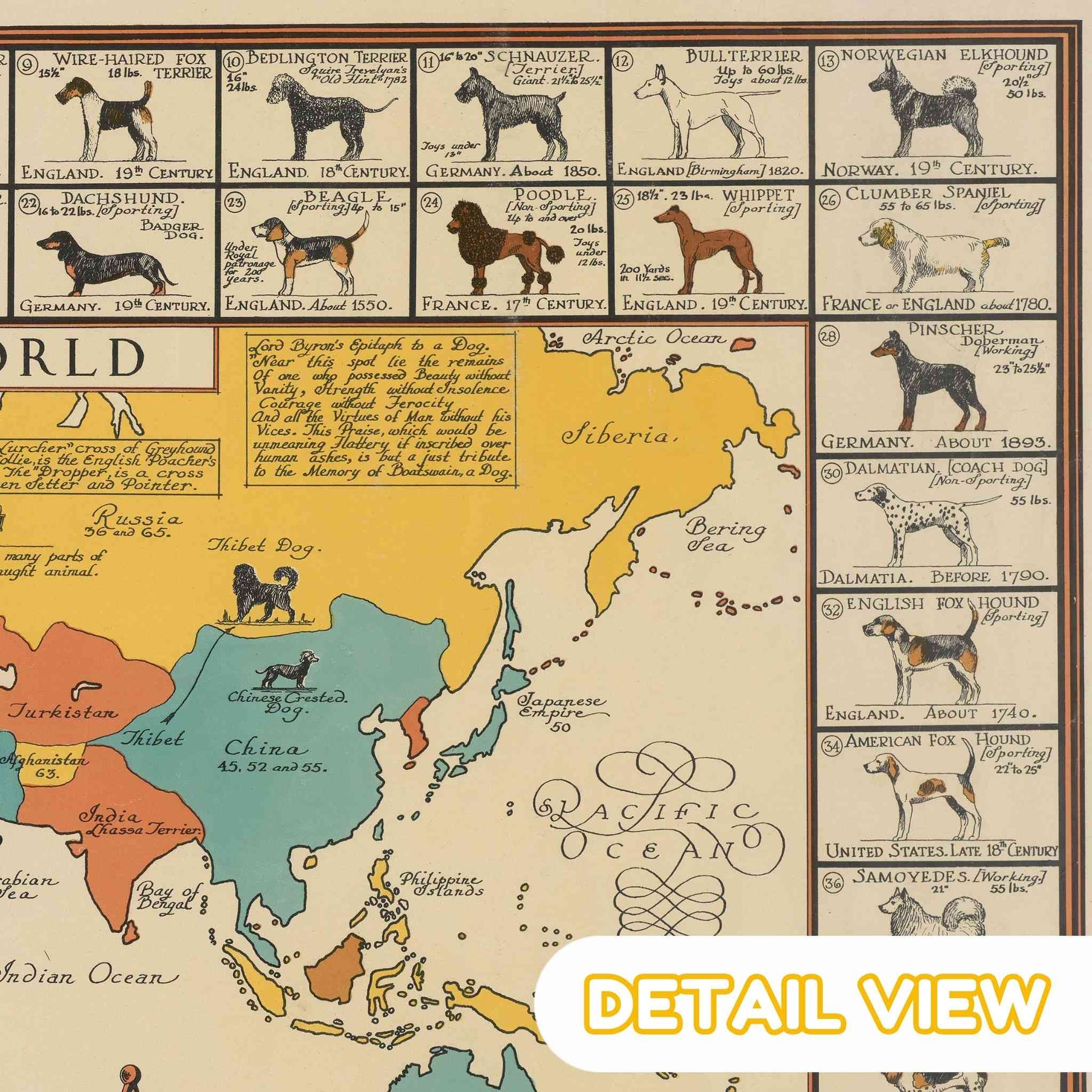 Detail of dog breeds from dog map of the world by sims wooden jigsaw puzzle colorful illustration