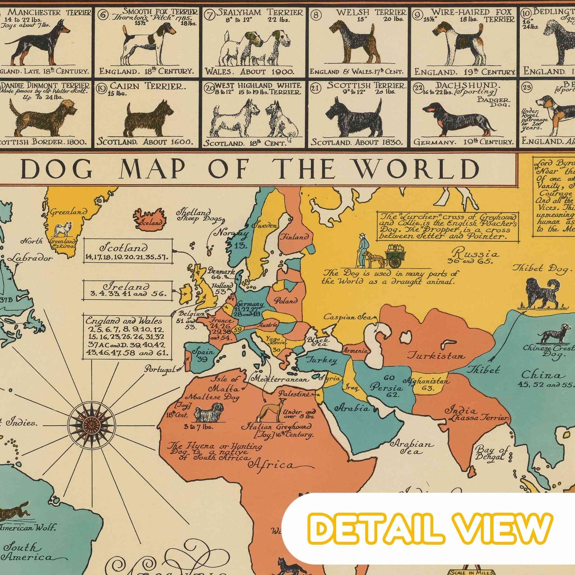 Map of the world with illustrations of dogs from different regions