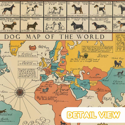 Map of the world with illustrations of dogs from different regions