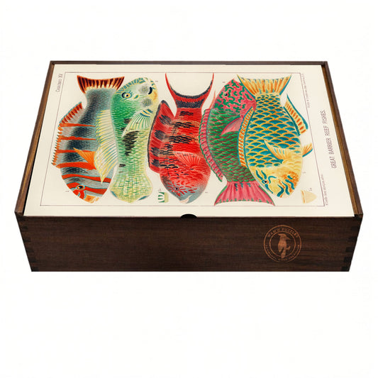 Elegant wooden puzzle box featuring the detailed artwork of Great Barrier Reef Fishes by Saville-Kent