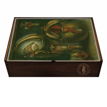 Puzzle box featuring d'Agoty's anatomical art, crafted from premium wood