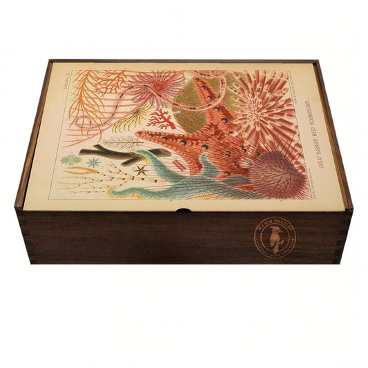 Premium wooden puzzle box featuring Saville-Kent's Great Barrier Reef artwork