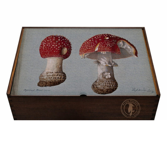 Wooden box with mushroom design on a white background
