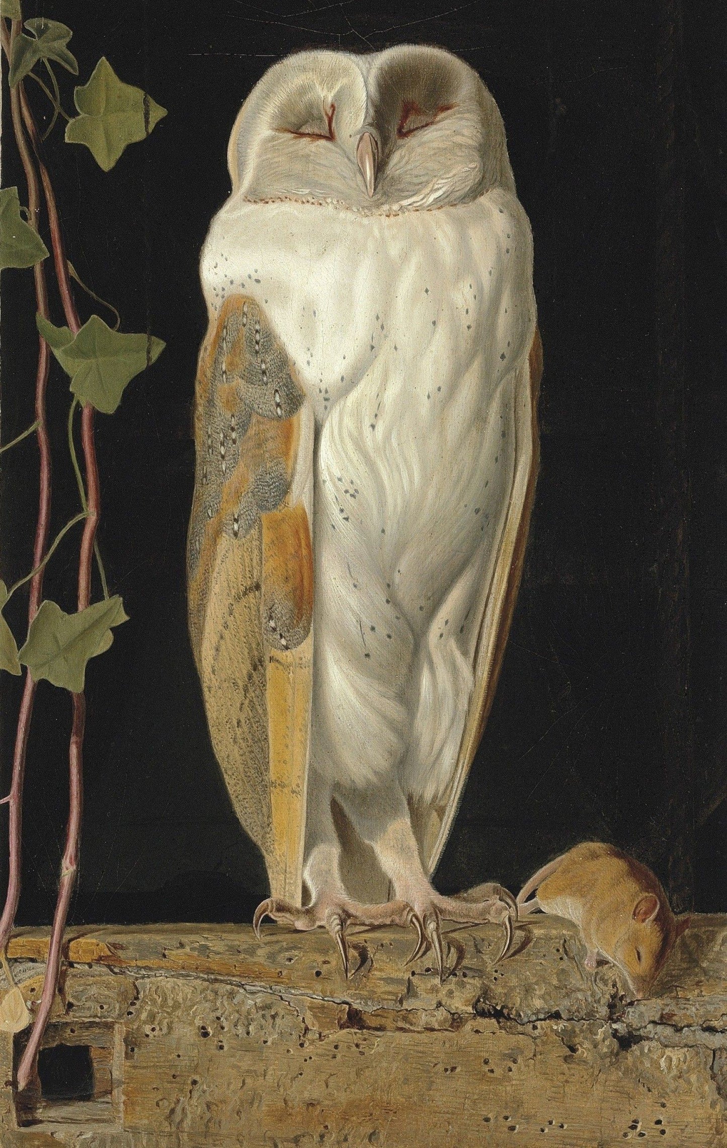 William James Webbe's The White Owl depicting a white owl in a belfry with muted tones