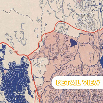 Detailed depiction of rocky coastlines and verdant forests on the 1938 map of Mount Desert Island in Acadia, Maine.