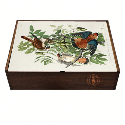 Wooden puzzle box with Audubon's  illustration of a Sparrow Hawk on a white background