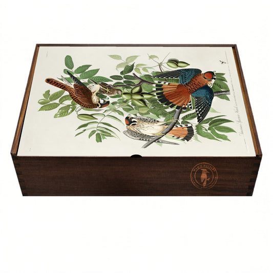 Wooden puzzle box with Audubon's  illustration of a Sparrow Hawk on a white background