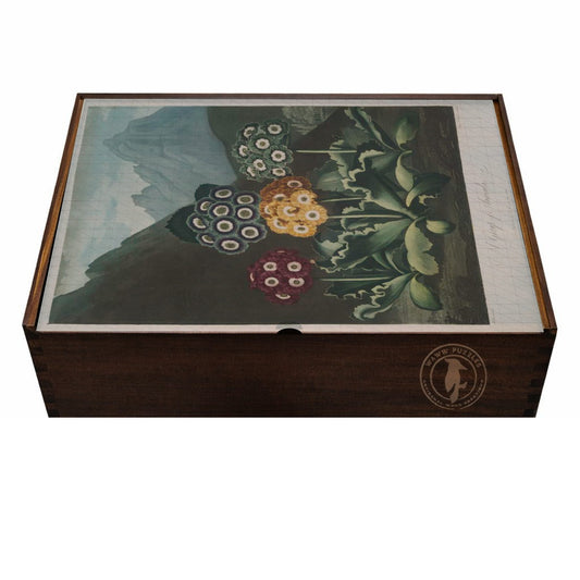 Exquisite wooden puzzle box featuring Thornton's Auriculas botanical masterpiece