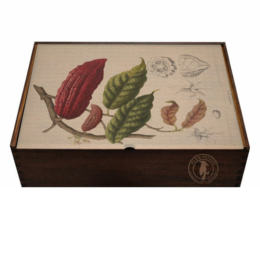 Puzzle wooden box with cacao bean illustration on a white background