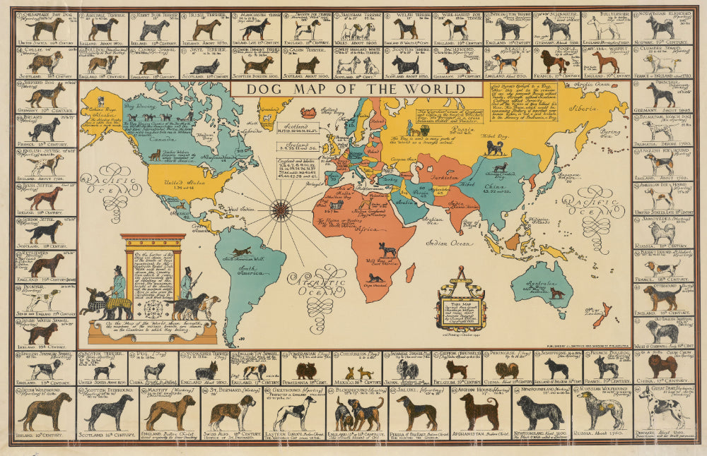 Dog Map of the World by Joseph Patterson Sims showing diverse dog breeds globally arranged on a flat map.