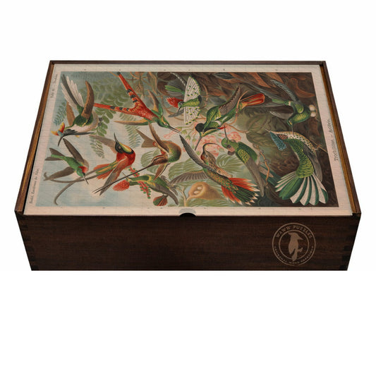 Elegant wooden puzzle box featuring Haeckel's Trochilidae lithograph design