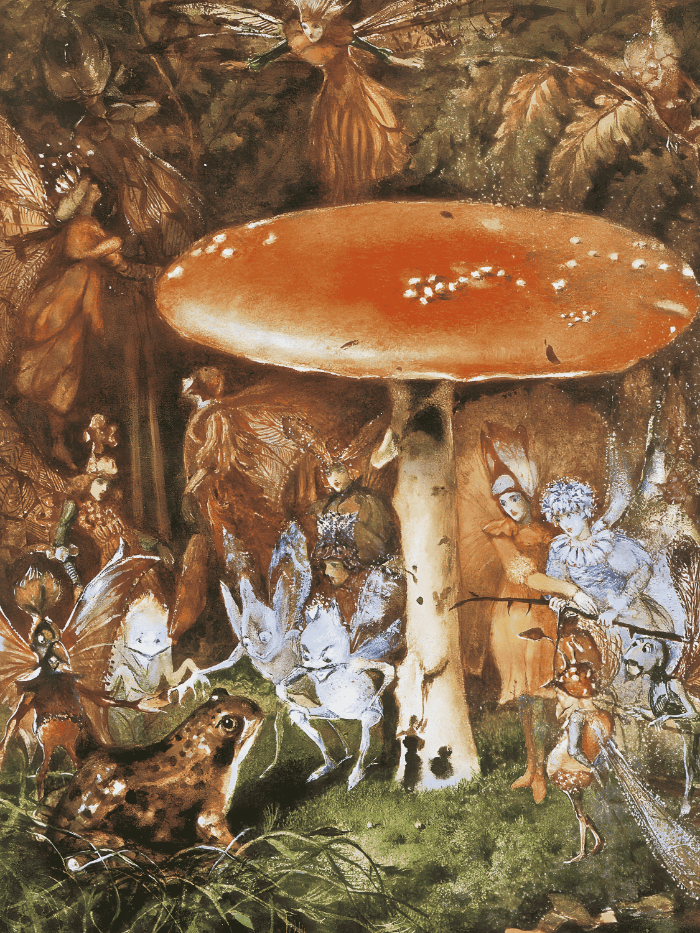 Close-up of fairies and a large mushroom with a detailed background of nature elements.