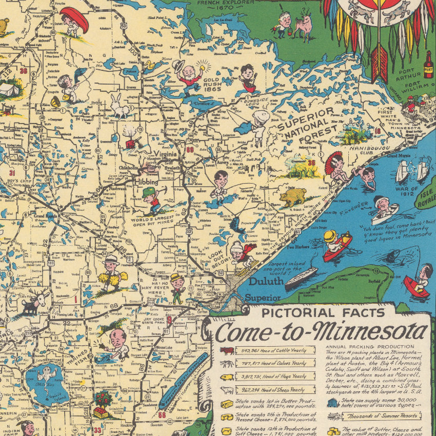 Langwith's Minnesota Map - Premium Wooden Jigsaw Puzzle