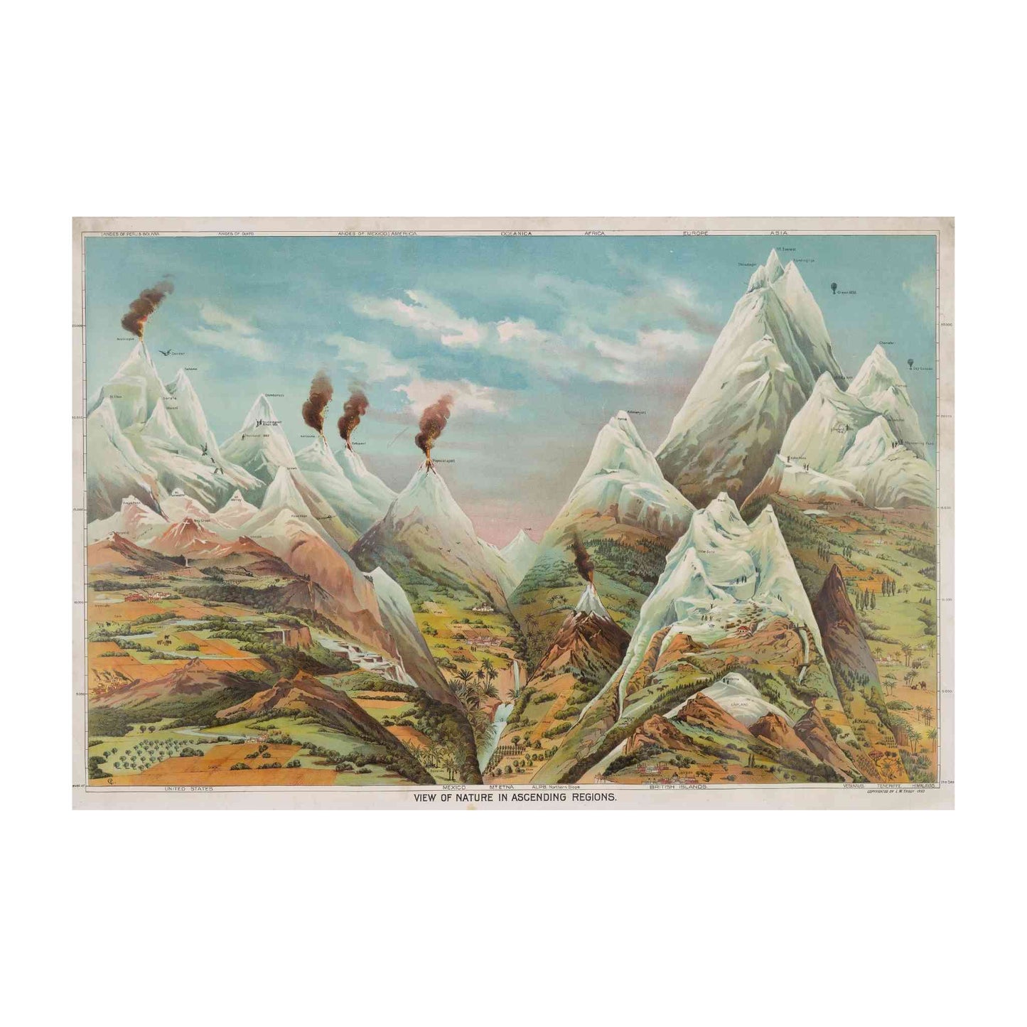 Yaggy's vibrant mountain illustration with altitudinal zones, colorful bands, and detailed flora labels.