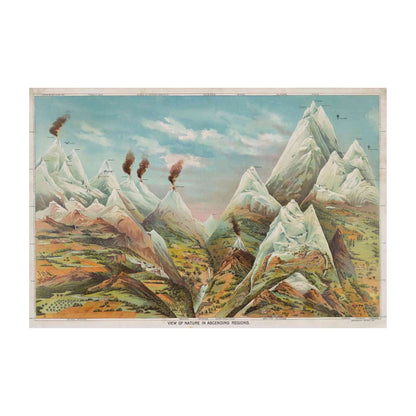 Yaggy's vibrant mountain illustration with altitudinal zones, colorful bands, and detailed flora labels.