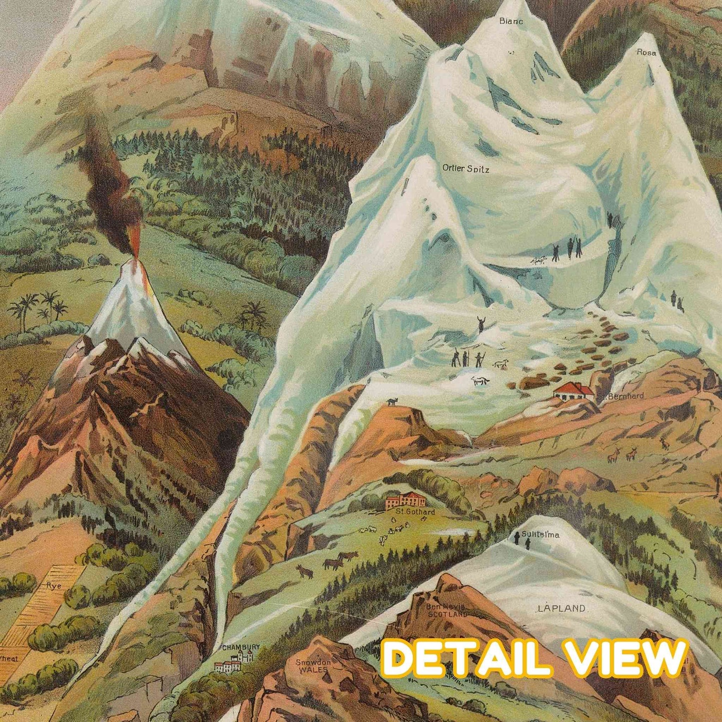 Close-up of tropical zone in Yaggy's artwork, featuring lush green vegetation and labeled agricultural products.