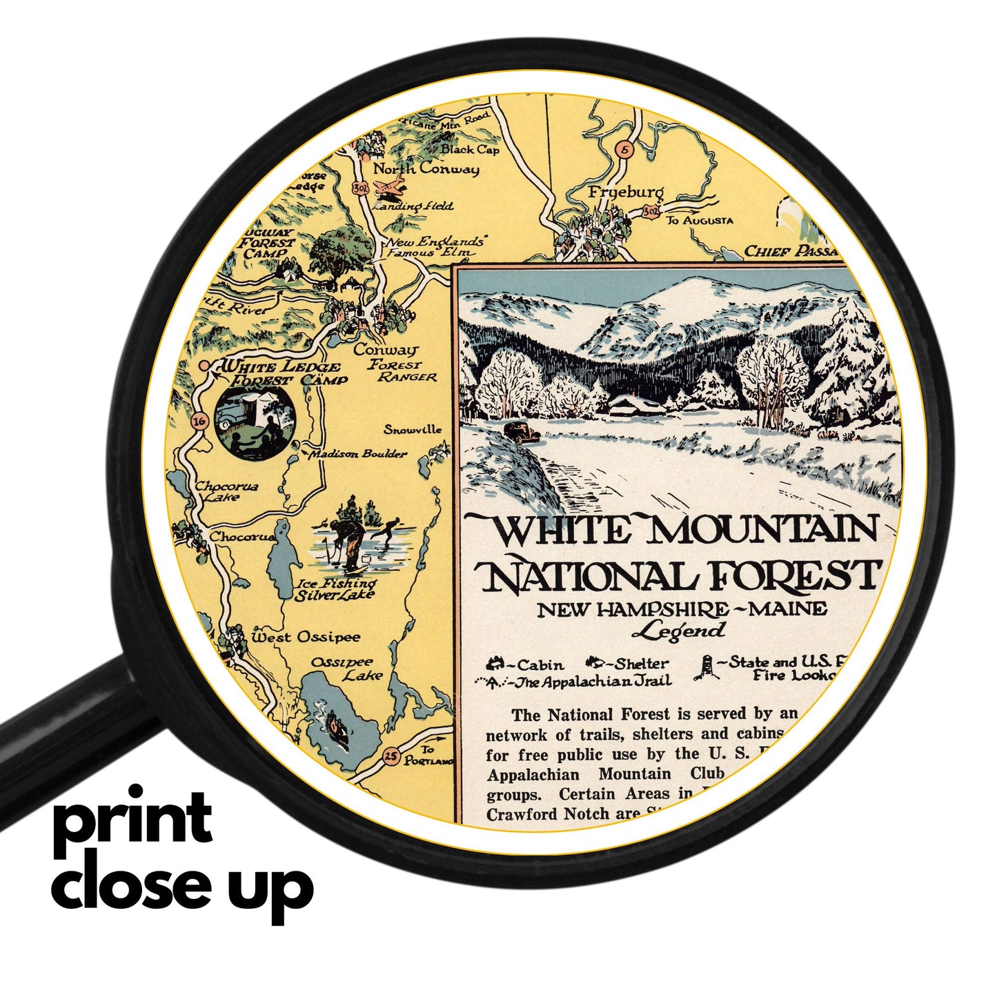 White Mountains Forest | New Hampshire Vintage Wooden Jigsaw Puzzle