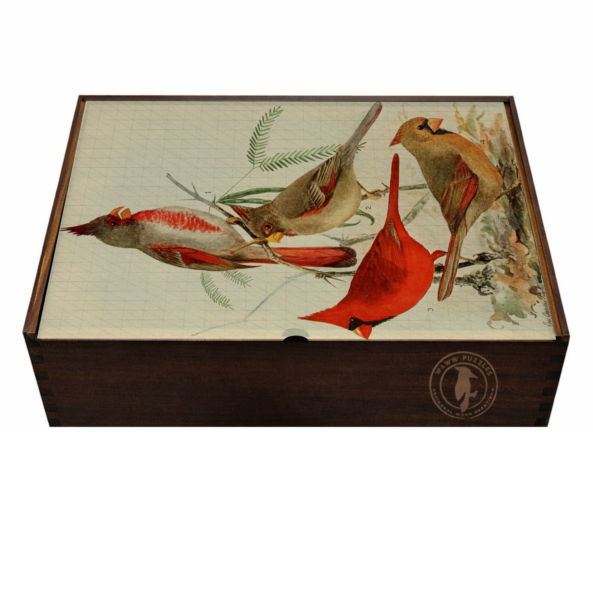 vintage cardinal wooden box puzzle by audubon precessor agassiz
