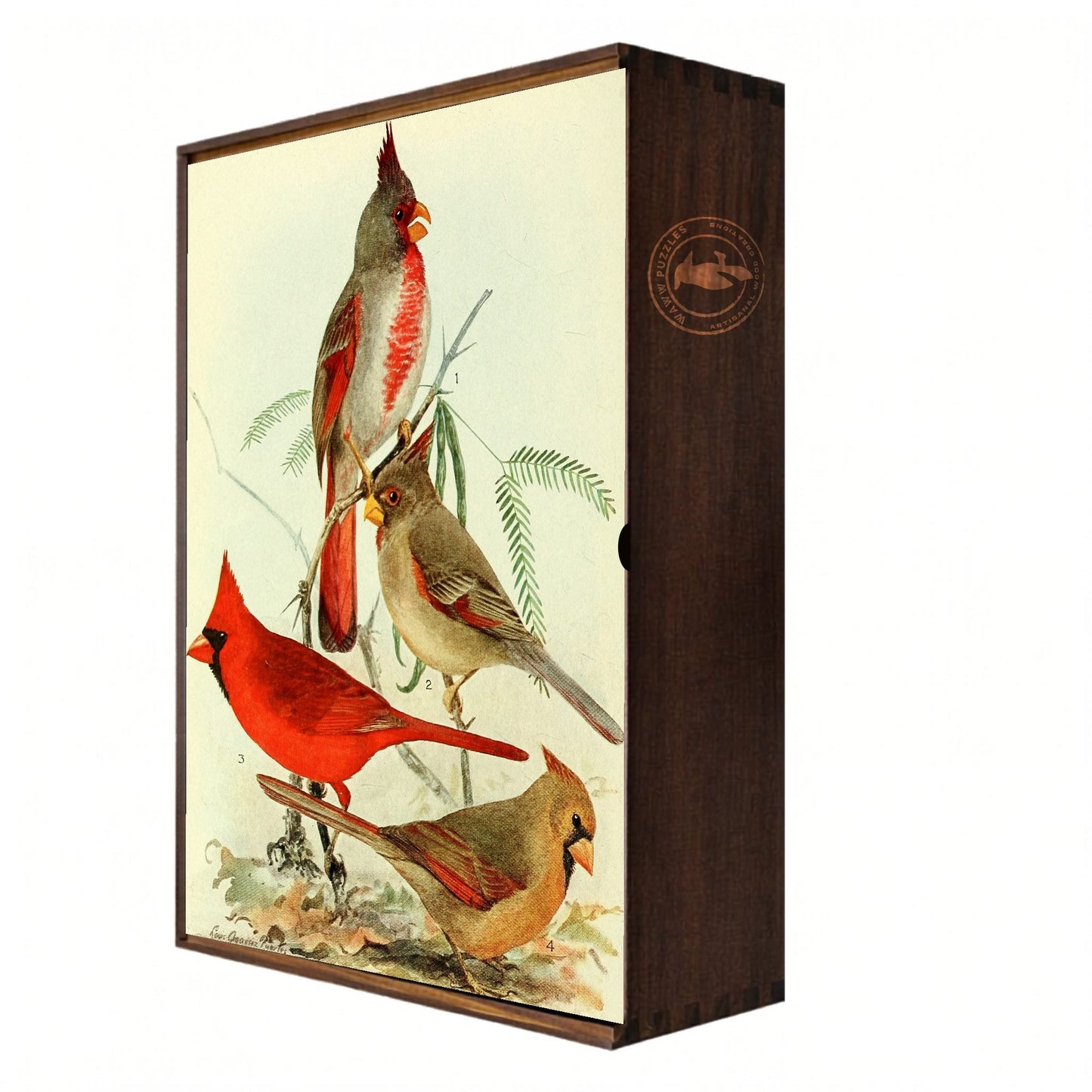 vintage cardinal wooden box puzzle by audubon precessor agassiz