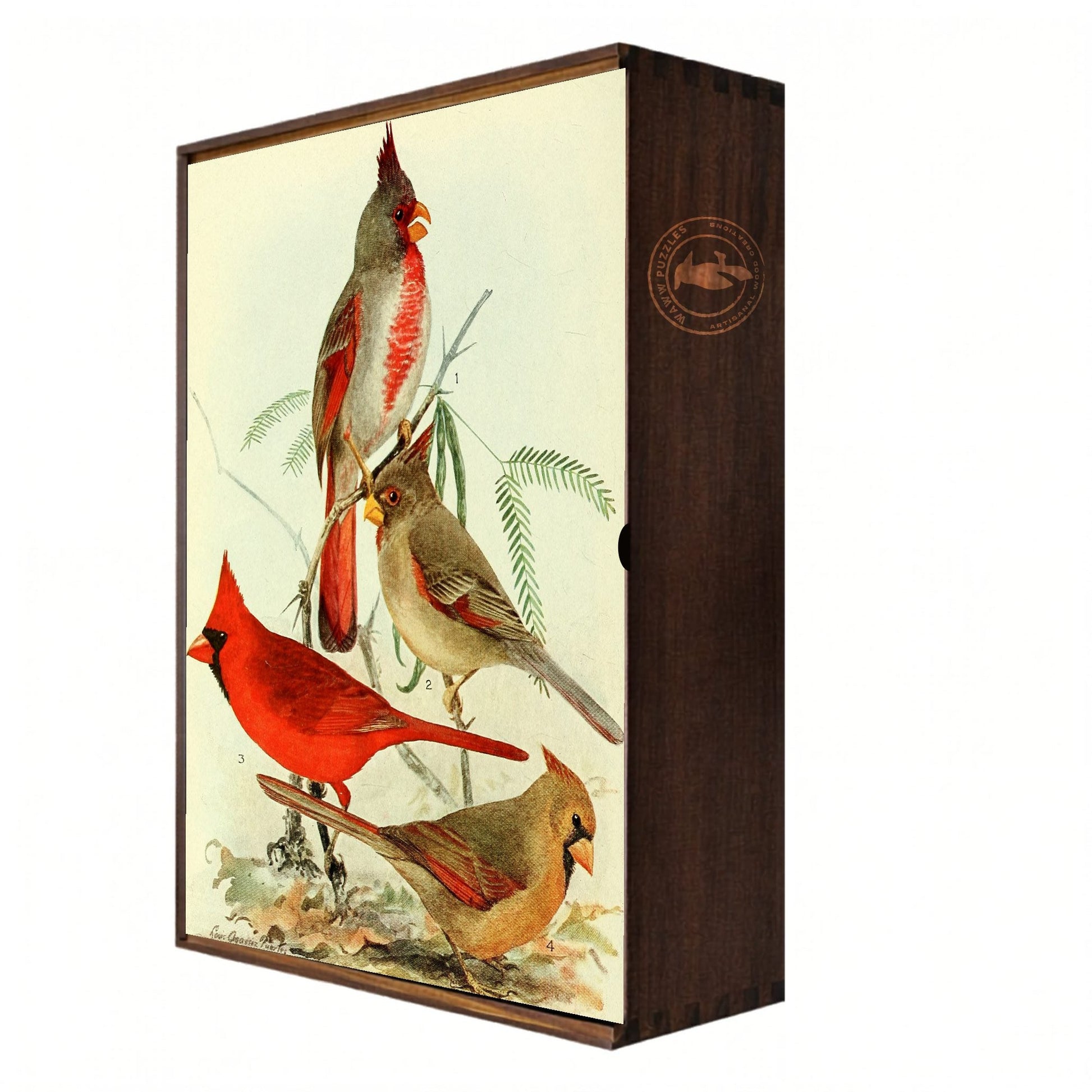 vintage cardinal wooden box puzzle by audubon precessor agassiz