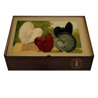 Emil Schachtzabel Fantail wooden jigsaw puzzle box with detailed bird illustration