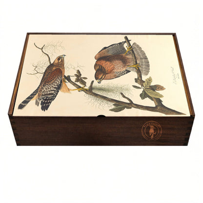 Elegant wooden puzzle box featuring Audubon’s Red-shouldered Hawk artwork