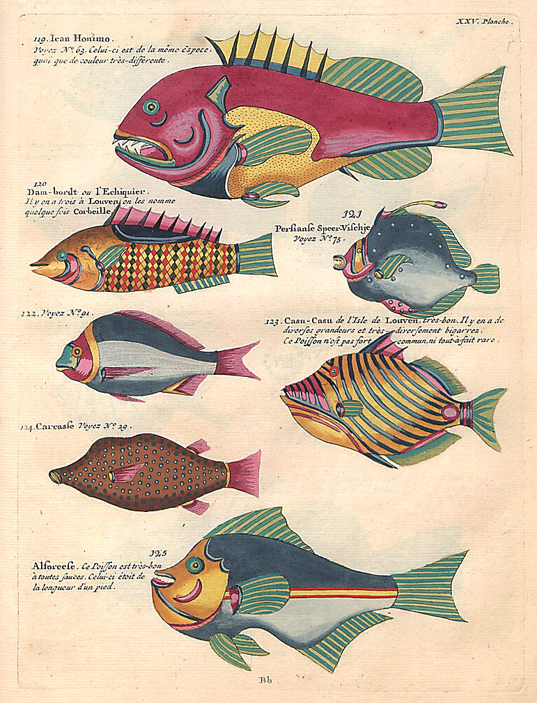 Louis Renard's vibrant illustration of diverse marine species with extraordinary colors and designs