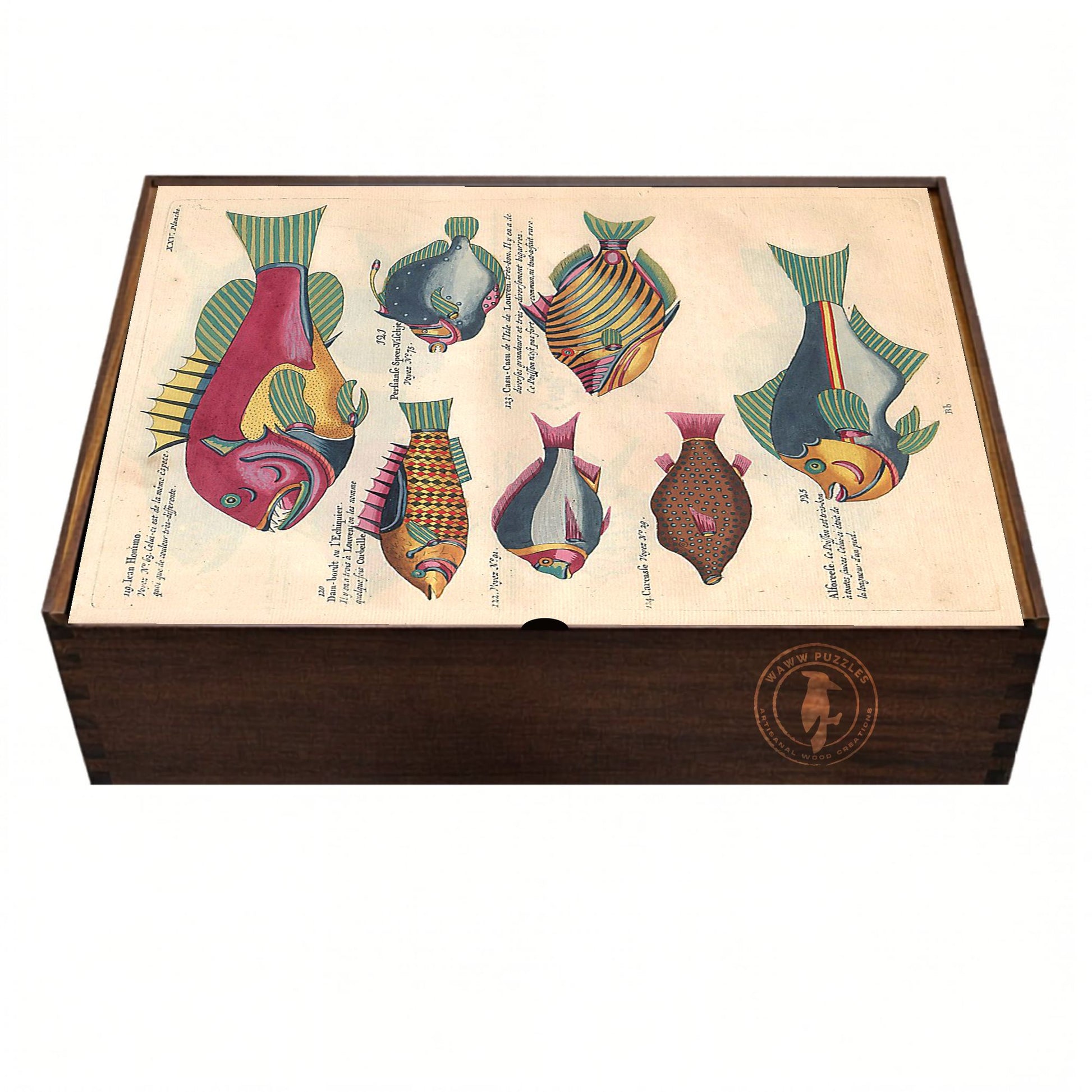 Artisanal handmade wooden puzzle box featuring Renard's marine illustrations