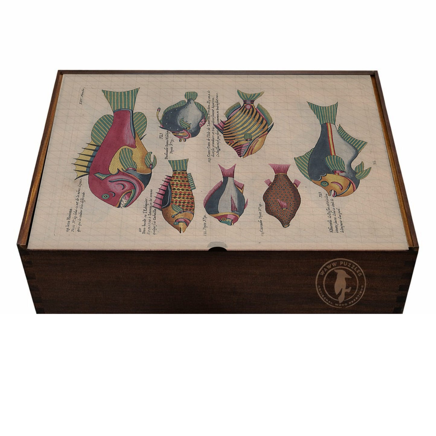 Artisanal handmade wooden puzzle box featuring Renard's marine illustrations of fantastical fishes