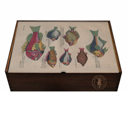 Artisanal handmade wooden puzzle box featuring Renard's marine illustrations of fantastical fishes