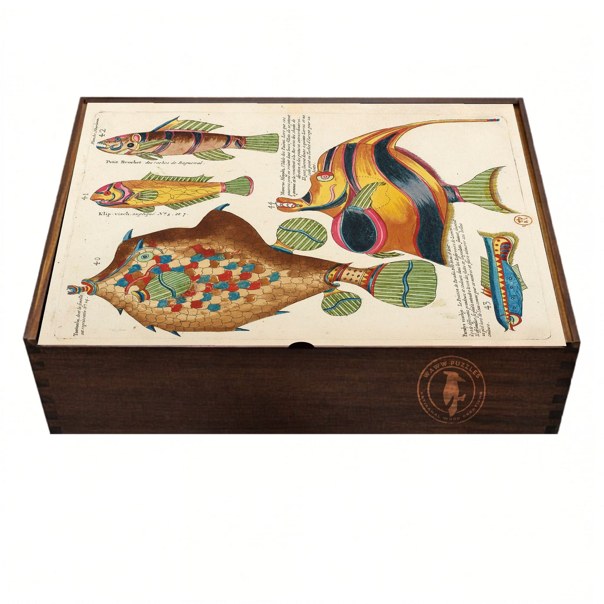 Artisanal handmade wooden puzzle box featuring Renard's marine illustrations