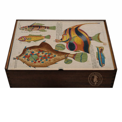 Artisanal handmade wooden puzzle box featuring Renard's marine illustrations
