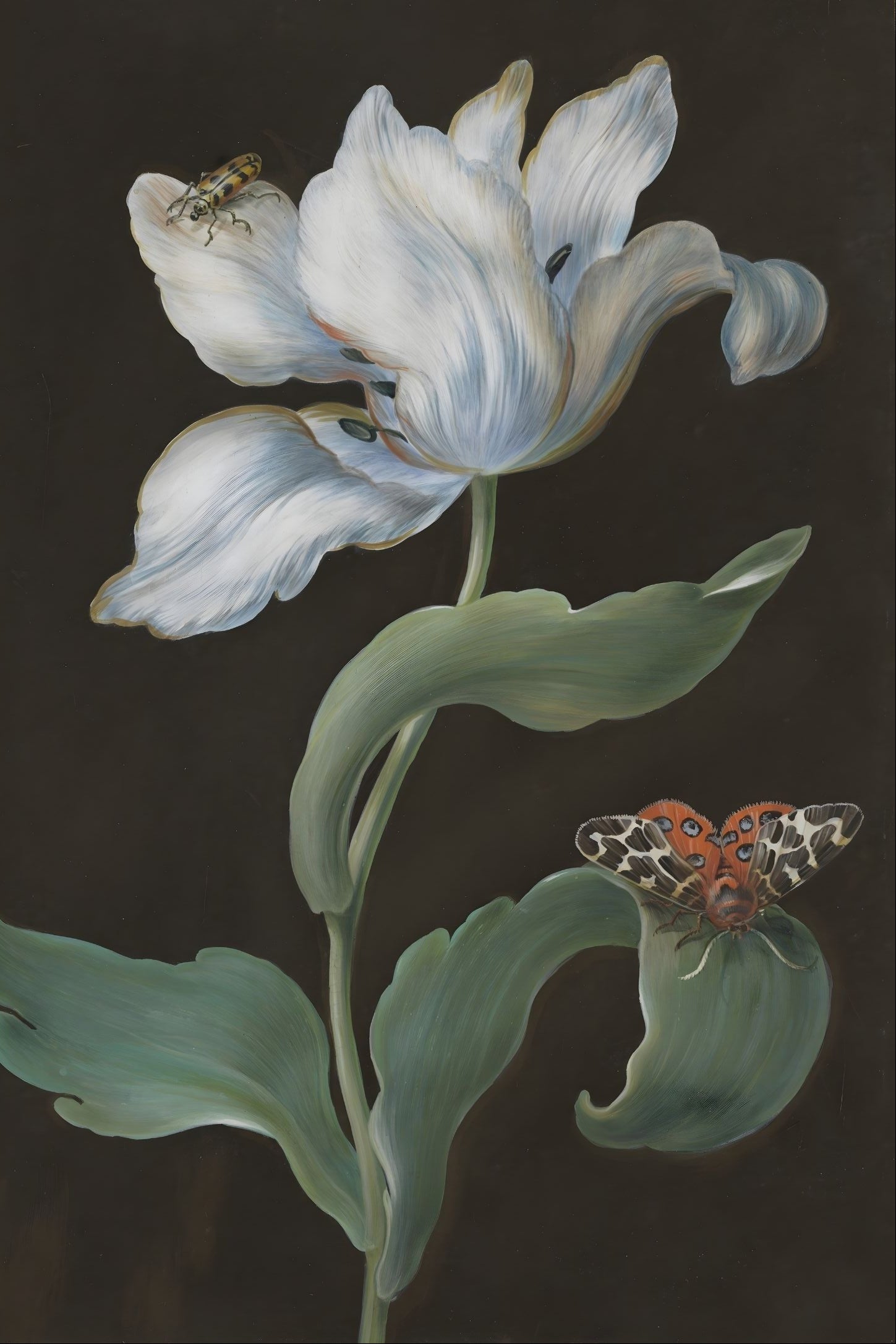 Artistic depiction of a white tulip flower with green leaves and a butterfly on a dark background
